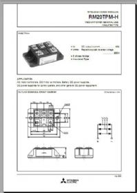 RM20TPM-H