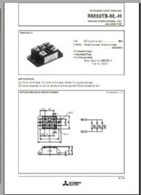 RM30TB-H