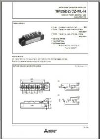 TM25CZ-M