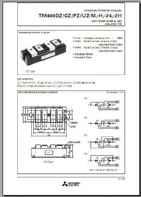 TM400PZ-2H