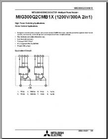 MIG300Q2CMB1X