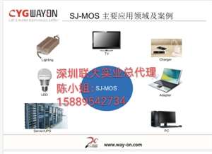 WMO080N10HG2 代理