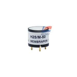 硫化氢气体传感器H2S/M-50  H2S/M-100  H2S/M-200-2E  H2S/M-500  H2S/M-2000
